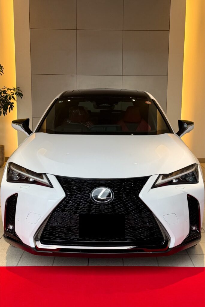 LEXUS UX300h AWD F Sports